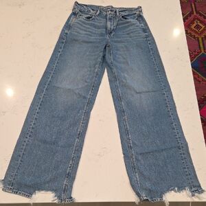 American Eagle Outfitters Blue Flare & Wide Leg Jeans